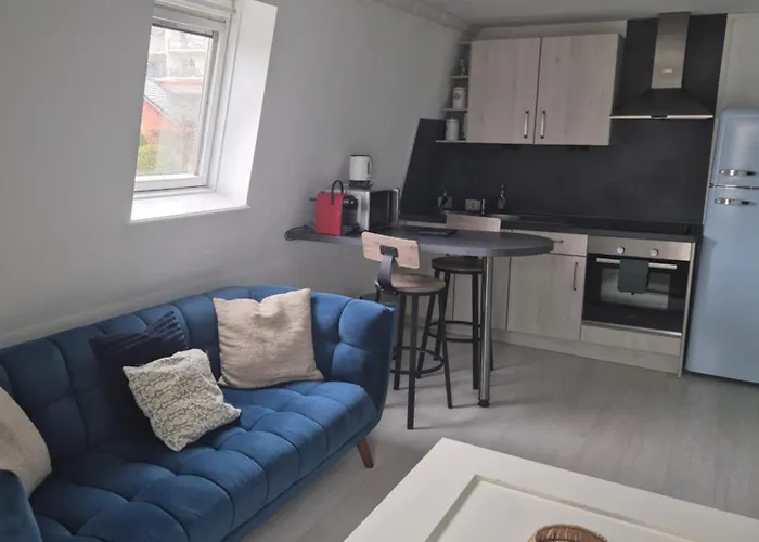 La Mansarde, Appartement Climatise En Centre Ville